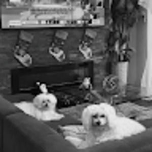 Meet your Posher, Joycee